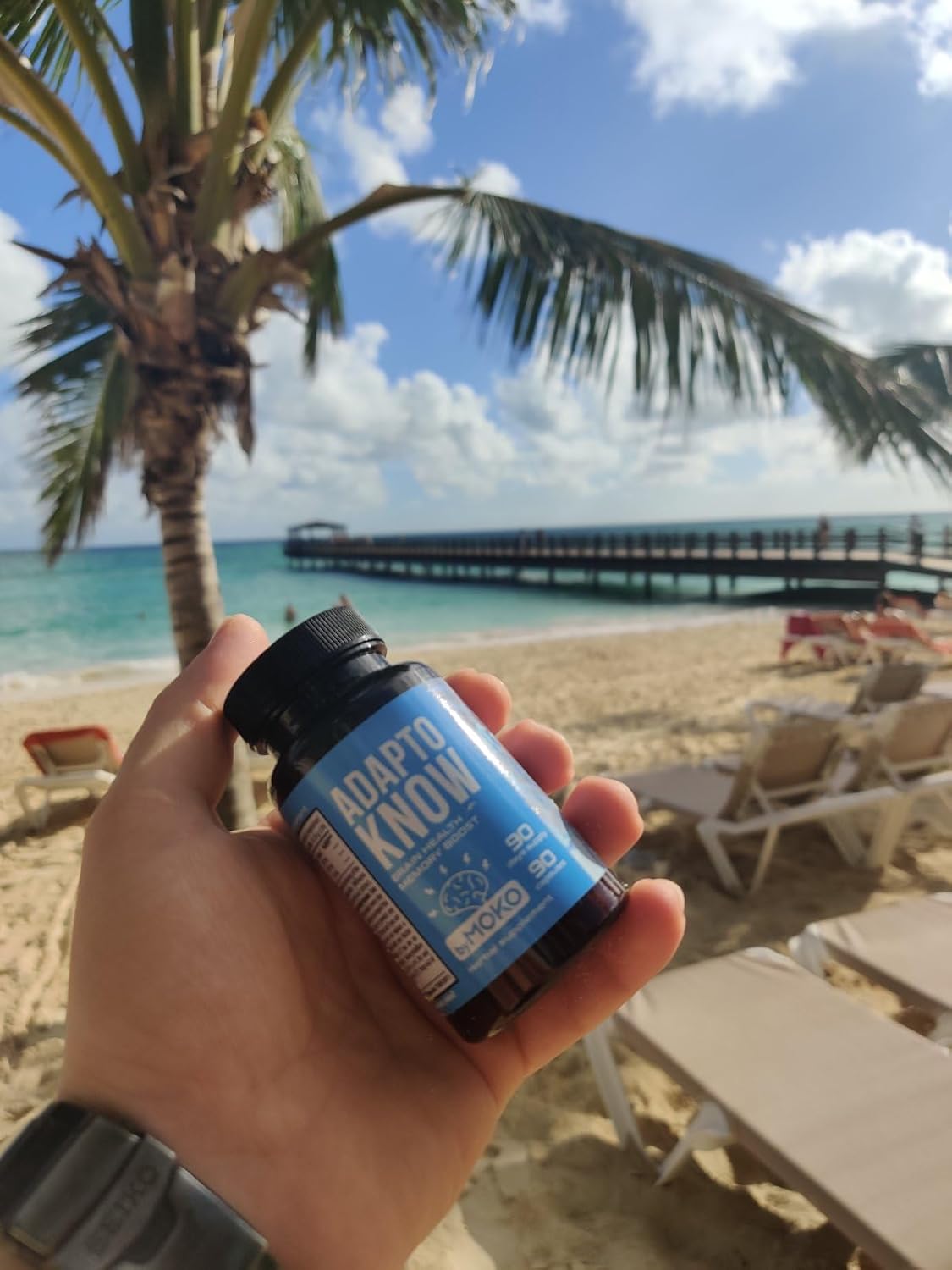 AdaptoKnow Ashwagandha Siberian Ginseng and Ginkgo biloba Supplement - Brain Booster Supplement for Cognitive Function, Memory Health, Concentration, Stress and Anxiety 90 Days Supply - Image 3