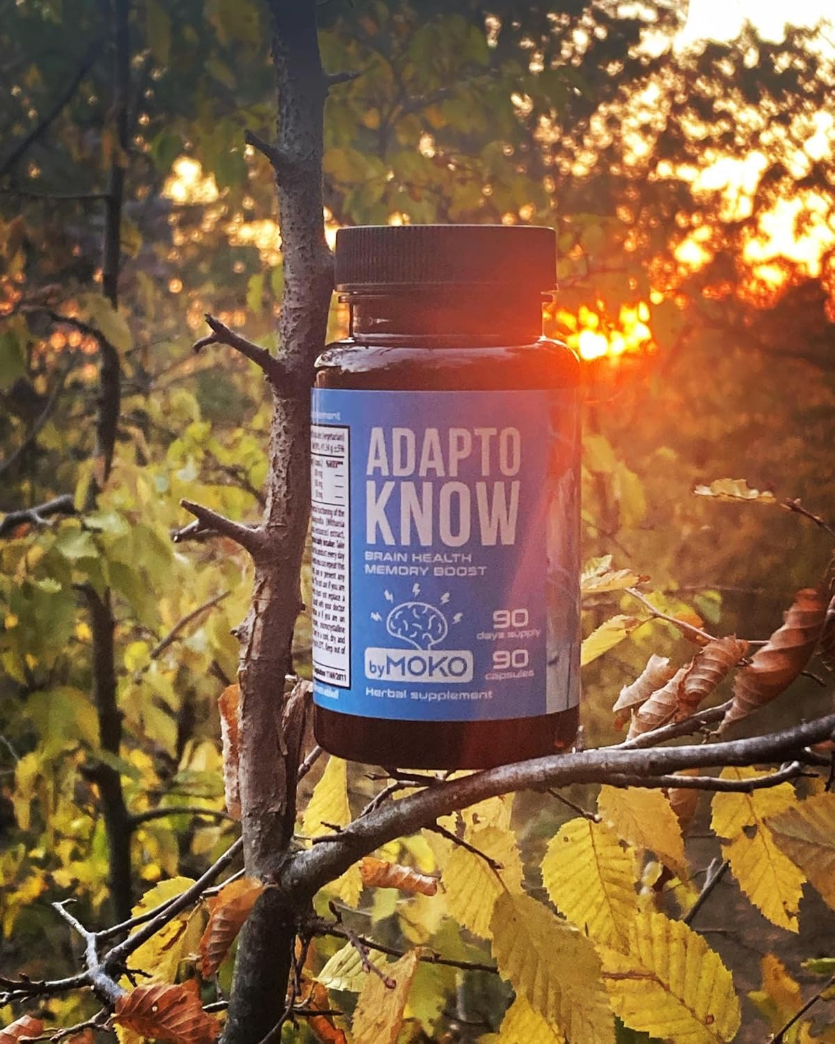 AdaptoKnow Ashwagandha Siberian Ginseng and Ginkgo biloba Supplement - Brain Booster Supplement for Cognitive Function, Memory Health, Concentration, Stress and Anxiety 90 Days Supply - Image 6