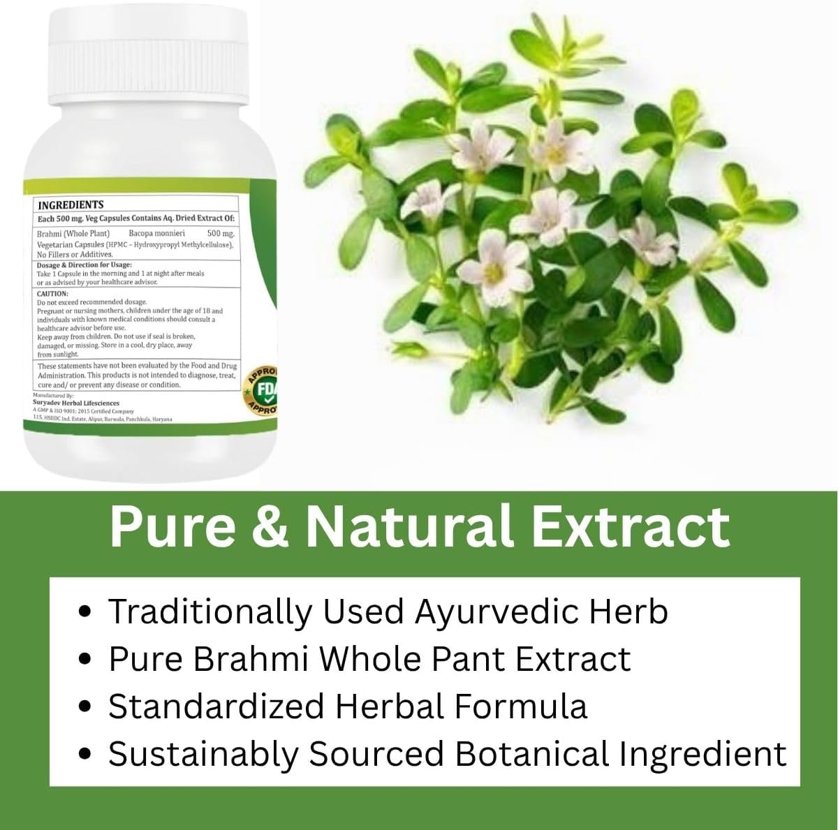 Brahmi Capsules | Bacopa Monnieri Extract | 500mg Each | Non-GMO, Vegan, Gluten-Free | Natural Herbal Supplement | 240 Vegetarian Capsules | Pack of 4 Bottle - Image 4