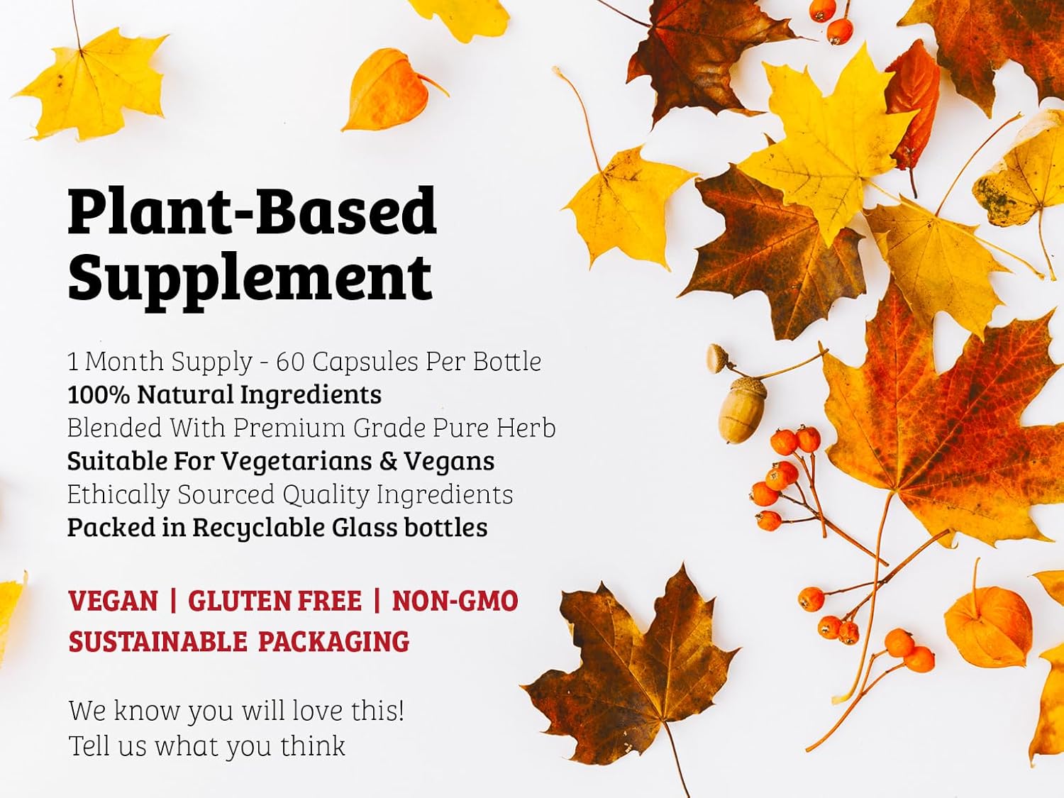 DR WAKDE'S Asthi Shrinkhala Capsules (Cissus quadrangularis), 60 Veg Caps, Plant-Based Supplement, Made in UK, Vegan, All Natural, Same Day Dispatch - Image 4