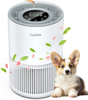Air Purifiers for Home Large Rooms ...