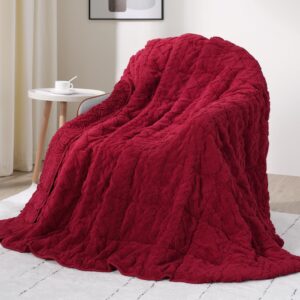Drewin Adults Weighted Blanket Quee...