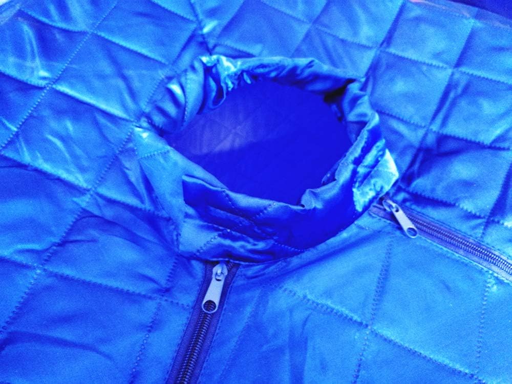 ZONEMEL Portable Personal Steam Sauna for Home, Folding Tent, 2L 900 Watt Steamer with Remote Control, Full Body Relaxation Detox Therapy-Blue - Image 2