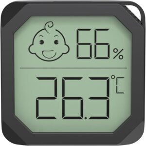 ABS Miniature Electronic Thermomete...