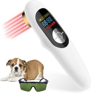 Red Light Therapy for Dogs – ...
