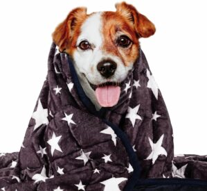 LaSyL Weighted Blanket for Pets | T...