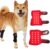 Red Light Therapy Belt for Pets, Portable Timing Anti-Licking Infrared Red Light Therapy Device Suitable for Pets to Relieve Joint and Back Pain